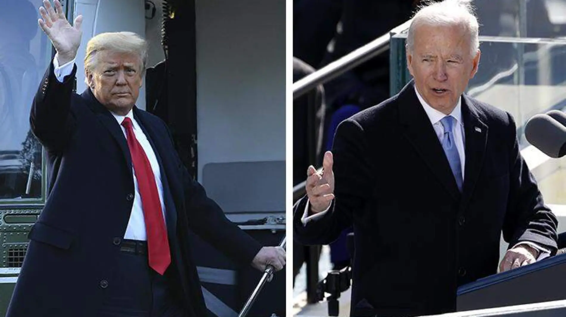 Trump biden